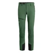 Pantaloni da uomo Salewa  Agner Orval 2 DST Raw Green