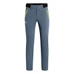 Pantaloni da uomo Salewa  Pedroc 3 DST Flint Stone 2X