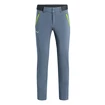 Pantaloni da uomo Salewa  Pedroc 3 DST Flint Stone