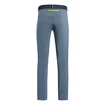Pantaloni da uomo Salewa  Pedroc 3 DST Flint Stone