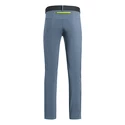 Pantaloni da uomo Salewa  Pedroc 3 DST Flint Stone