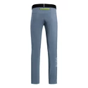Pantaloni da uomo Salewa  Pedroc 3 DST Flint Stone