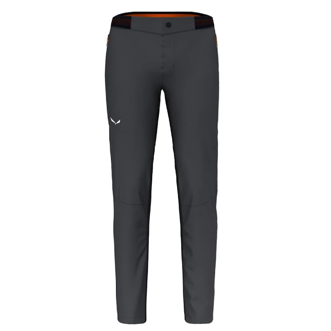 Pantaloni da uomo Salewa  Pedroc 4 DST M Reg Pants  L
