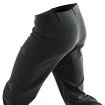 Pantaloni da uomo Salomon  M Wayfarer Pants Black