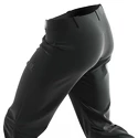 Pantaloni da uomo Salomon  M Wayfarer Pants Black