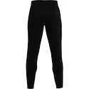 Pantaloni da uomo Under Armour