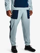 Pantaloni da uomo Under Armour