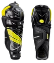 Parastinchi Bauer Supreme Ultrasonic Intermediate