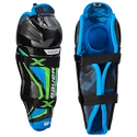 Parastinchi Bauer X  Youth