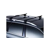 Portatutto Thule con SquareBar BMW X5 5-dr SUV con mancorrenti sul tetto (hagus) 00-03