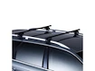 Portatutto Thule con SquareBar Fiat Doblo 4-dr Van con mancorrenti sul tetto (hagus) 02-21