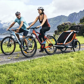 Carrelli per biciclette