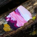 Protezione per il collo Bjež® Storm HILLS pink