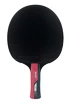 Racchetta da ping pong Butterfly  Boll Ruby