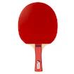 Racchetta da ping pong Joola  Team Junior