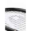 Racchetta da squash Head  Graphene 360+ Speed 120 SB