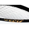 Racchetta da squash Head  Graphene 360+ Speed 120 SB
