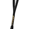 Racchetta da squash Head  Graphene 360+ Speed 120 SB