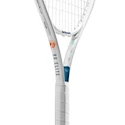 Racchetta da tennis Wilson  Roland Garros Elite Adult