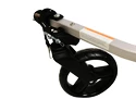 Rimorchio bici bambini Thule Coaster XT