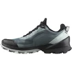 Scarpe da donna Salomon  Cross Over GTX W Stormy Weather