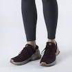 Scarpe da donna Salomon  X Reveal Gore-Tex