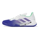 Scarpe da tennis da donna adidas  Barricade W Clay Blue/Violet