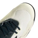 Scarpe da tennis da uomo adidas Solematch Control 2 White/Silver