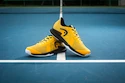 Scarpe da tennis da uomo Head Sprint Pro 3.5 Men BNBK