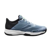 Scarpe da tennis da uomo Wilson Kaos Stroke 2.0 Blue