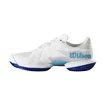 Scarpe da tennis da uomo Wilson Kaos Swift 1.5 Clay White/Blue