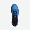 Scarpe da uomo adidas  Terrex Skychaser 2 GTX Blue