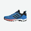 Scarpe da uomo adidas  Terrex Skychaser 2 GTX Blue