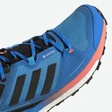 Scarpe da uomo adidas  Terrex Skychaser 2 GTX Blue