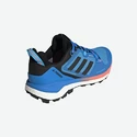 Scarpe da uomo adidas  Terrex Skychaser 2 GTX Blue