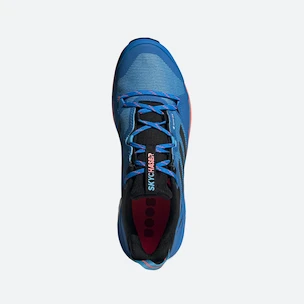 Scarpe da uomo adidas  Terrex Skychaser 2 GTX Blue