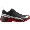 Scarpe da uomo Salomon  Cross Hike GTX 2