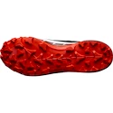 Scarpe da uomo Salomon  Cross Hike GTX 2