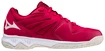Scarpe indoor da uomo Mizuno  Lightning Star Z6 Junior Red White