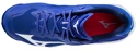 Scarpe indoor da uomo Mizuno  Wave Lightning Z6 Blue/Pink