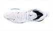 Scarpe indoor da uomo Mizuno  WAVE MIRAGE 5 White/Sailor Blue/Silver