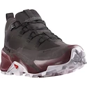 Scarpe outdoor da donna Salomon  CROSS HIKE GTX 2 W