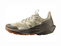 Scarpe outdoor da donna Salomon ELIXIR ACTIV W White Pepper/Falcon/Papaya