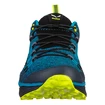 Scarpe outdoor da uomo Salewa  MS Dropline