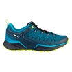 Scarpe outdoor da uomo Salewa  MS Dropline