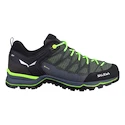 Scarpe outdoor da uomo Salewa  MS MTN Trainer Lite Gtx Myrtle/Ombre Blue  UK 9,5