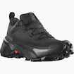 Scarpe outdoor da uomo Salomon  CROSS HIKE GTX 2