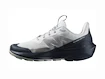 Scarpe outdoor da uomo Salomon ELIXIR ACTIV Glacier Gray/Carbon/Slate Green