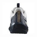 Scarpe outdoor da uomo Salomon ELIXIR ACTIV Glacier Gray/Carbon/Slate Green