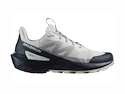 Scarpe outdoor da uomo Salomon ELIXIR ACTIV Glacier Gray/Carbon/Slate Green